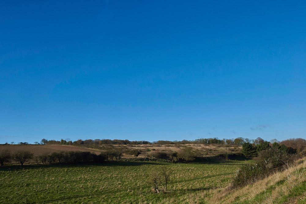 CockthorpeCommon271117-1