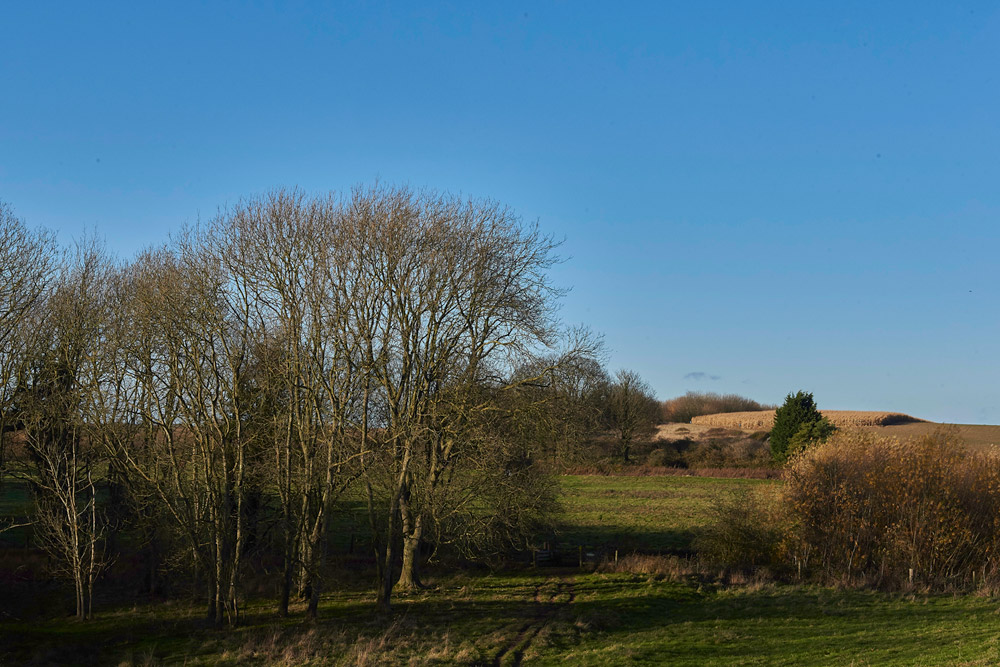 CockthorpeCommon271117-2